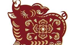 1959年属猪的人2020年运势大全及破解