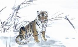 1974年属虎的人2020年运势大全及破解