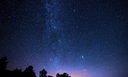 怀孕做梦梦到牛