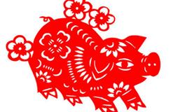 1983年属猪的人2020年运势大全及破解