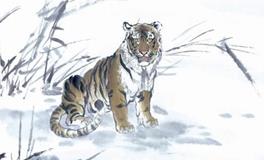 1986年属虎的人2020年运势大全及破解