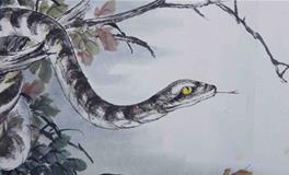 1989年属蛇的人2020年运势大全及破解