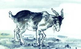 1991年属羊的人2020年运势大全及破解