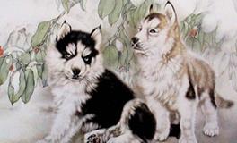 1994年属狗的人2020年运势大全及破解