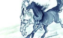 2002年属马的人2020年运势大全及破解