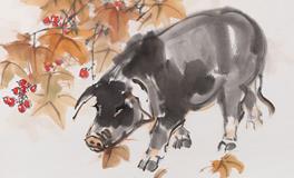 2007年属猪的人2020年运势大全及破解