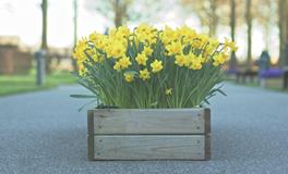 苏珊米勒今日运势2018年9月17日