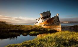 属牛人相害相合相刑相冲的属相