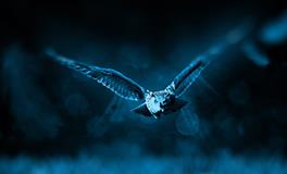 梦到和老公吵架离婚