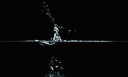 孕妇做梦梦到穿山甲