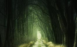 孕妇做梦梦到家里进贼