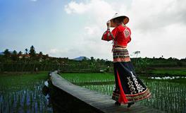 黎族有哪些婚庆风俗