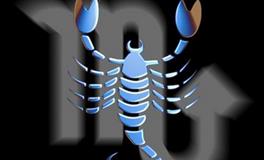 天蝎座的专属职业