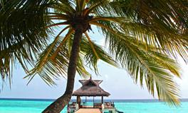 梦见河里突然涨水了