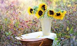 李云天2018年10月白羊座运势