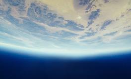 梦见脚上有虫子