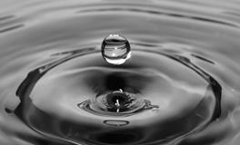 做梦梦到被蛇咬了