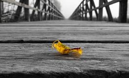 做梦梦见自己杀人了是什么意思