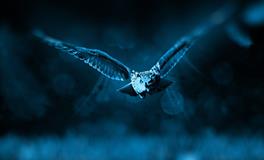 梦见在学校上学