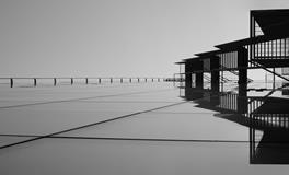 梦到鞋子里面有蛇