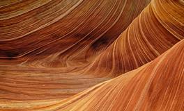 梦到电动车被偷了