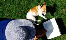 梦见打针是什么意思