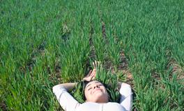 梦见大车是什么意思