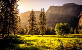 梦见好朋友结婚