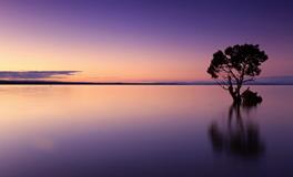 梦见自己结婚摆宴席