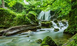 做梦梦到老公和前女友在一起