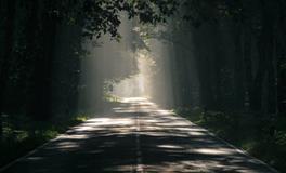 做梦梦到有人亲我嘴