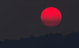 做梦梦到小时候的家