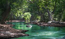 做梦梦到自己变成女孩子