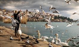 梦见吃西红柿是什么意思