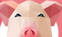 1995年出生的属猪人2020年运势