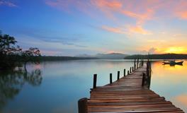 孕妇做梦梦到生菜