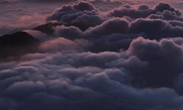 孕妇梦到小葱什么意思