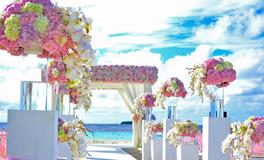 孕妇做梦梦到红柿子