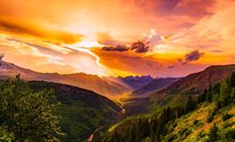 孕妇梦到花开的很漂亮