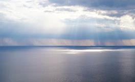 孕妇梦到好多四季豆