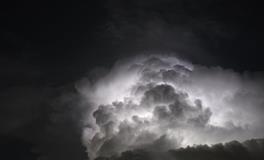 孕妇梦到摘松子