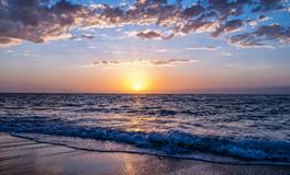 孕妇梦到开花的树