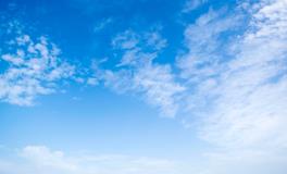 孕妇梦到吃熟葡萄