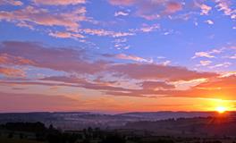孕妇梦到树上好多苹果