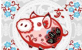 李云天塔罗牌2019年12生肖运势破解