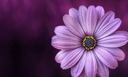 梦见相亲是什么意思