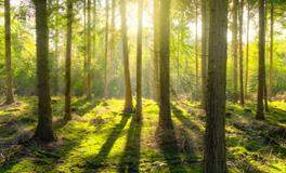 梦见鬼上身预示着什么