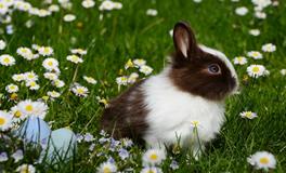 做梦丢钱是什么意思