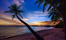 梦见女明星是什么意思