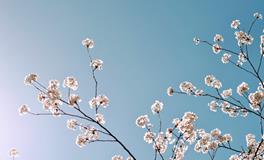 梦见菩萨在天上